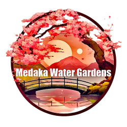 Medaka Water Gardens